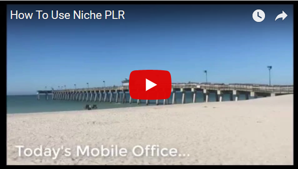 Tutorial: How To Use Niche PLR